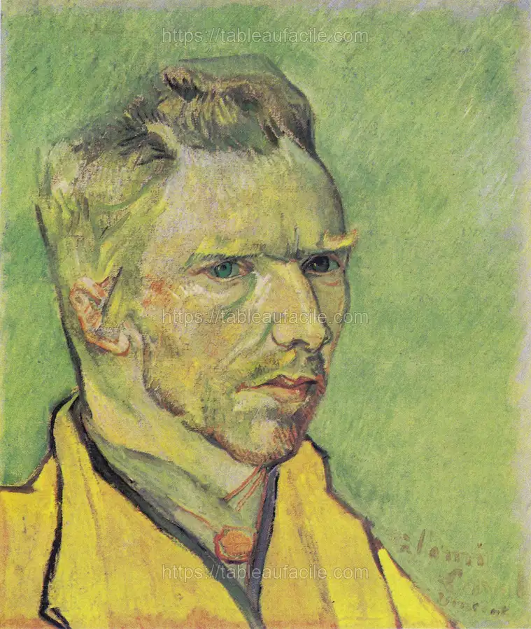 Vincent van Gogh_s Self-Portrait (1888) apercu