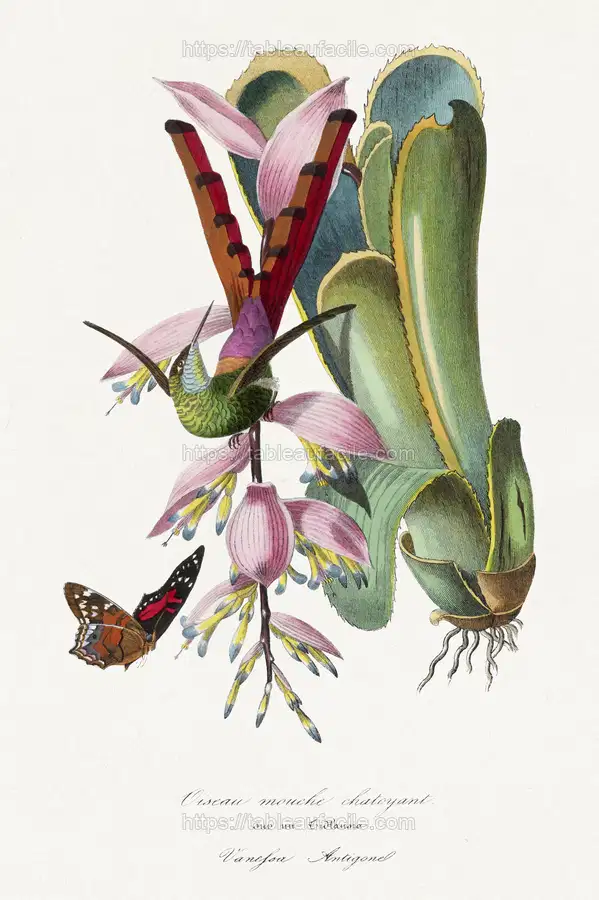 1842 edition of Le Jardin Des Plantes by Paul Gervais 2 apercu