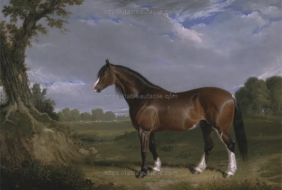A Clydesdale Stallion (1820)  by John Frederick Herring apercu