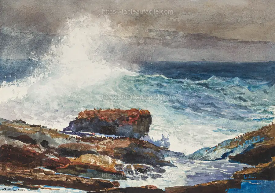 Incoming Tide, Scarboro, Maine (1883) by Winslow Homer apercu