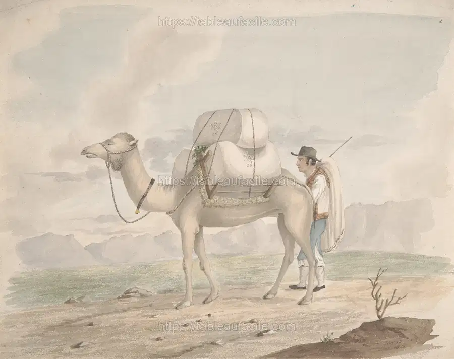 Loaded Camel apercu