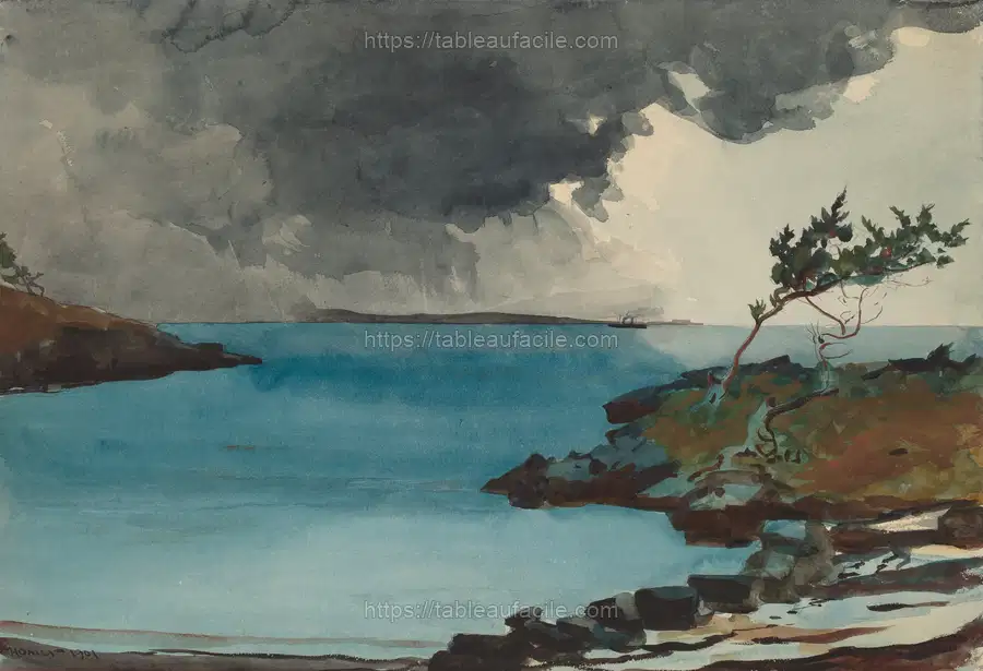 The Coming Storm (1901) by Winslow Homer apercu