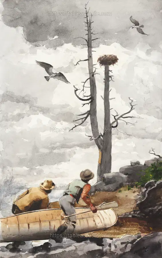 The Eagle_s Nest (1902) by Winslow Homer apercu