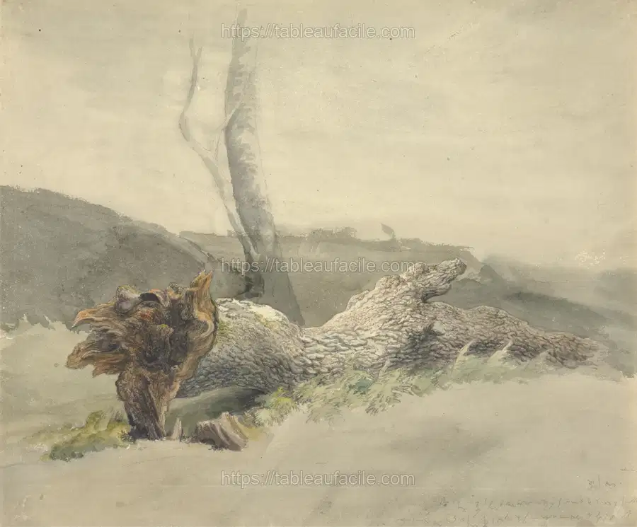 The Fallen Tree apercu